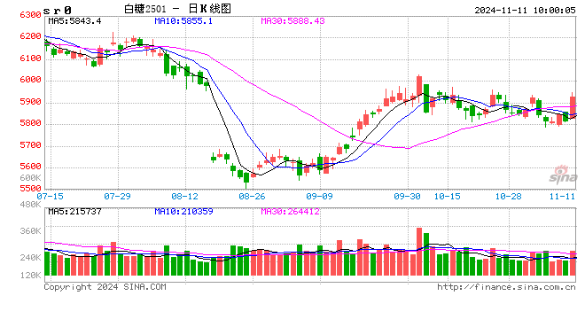 光大期货：11月11日软商品日报